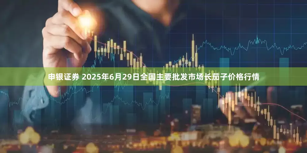 申银证券 2025年6月29日全国主要批发市场长茄子价格行情