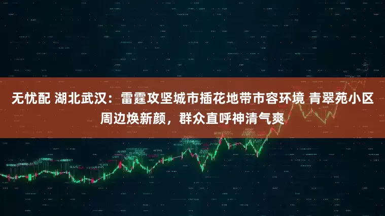 无忧配 湖北武汉：雷霆攻坚城市插花地带市容环境 青翠苑小区周边焕新颜，群众直呼神清气爽