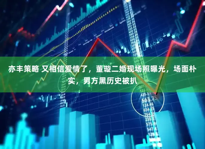 亦丰策略 又相信爱情了，董璇二婚现场照曝光，场面朴实，男方黑历史被扒