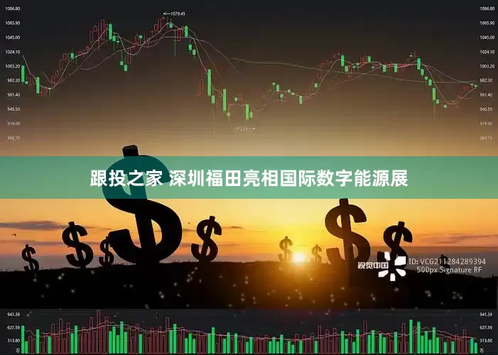跟投之家 深圳福田亮相国际数字能源展