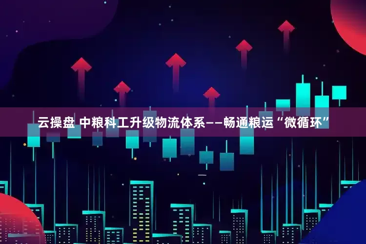 云操盘 中粮科工升级物流体系——畅通粮运“微循环”